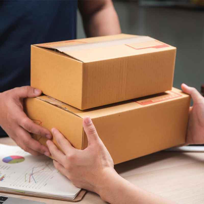 Global Agro Export – Shaurya Impex